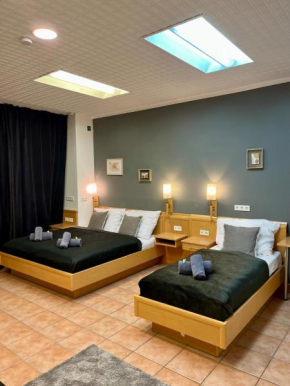 Spacious Apartment in Vienna Center Vienna